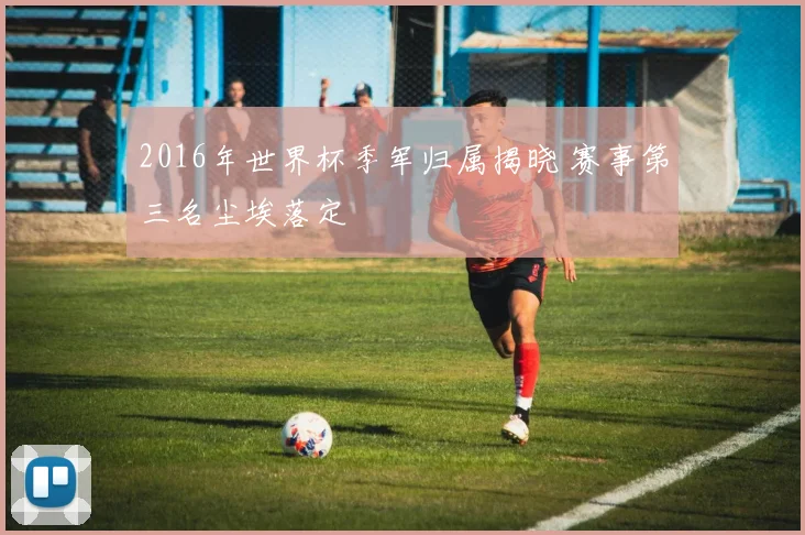 2016年世界杯季军归属揭晓 赛事第三名尘埃落定