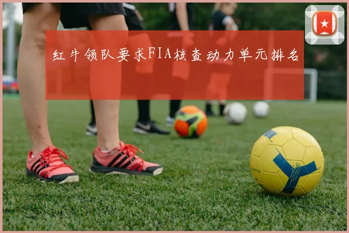 红牛领队要求FIA核查动力单元排名