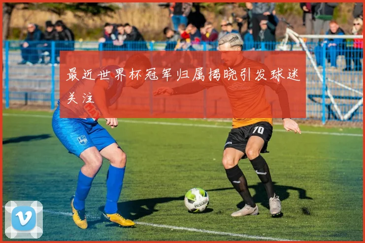 最近世界杯冠军归属揭晓引发球迷关注