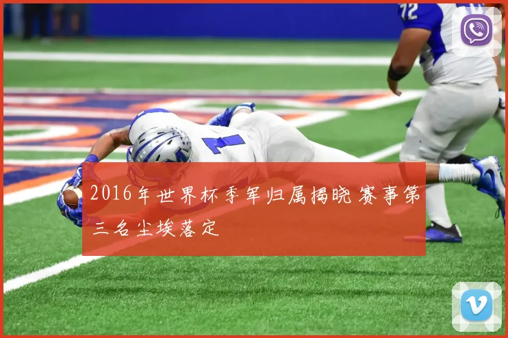 2016年世界杯季军归属揭晓 赛事第三名尘埃落定