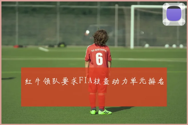 红牛领队要求FIA核查动力单元排名