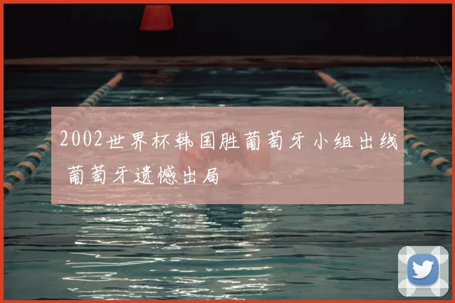 2002世界杯韩国胜葡萄牙小组出线 葡萄牙遗憾出局