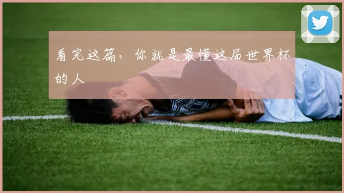 看完这篇，你就是最懂这届世界杯的人