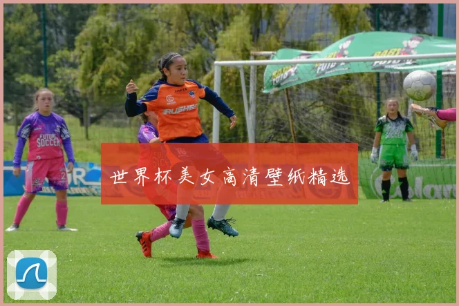 世界杯美女高清壁纸精选